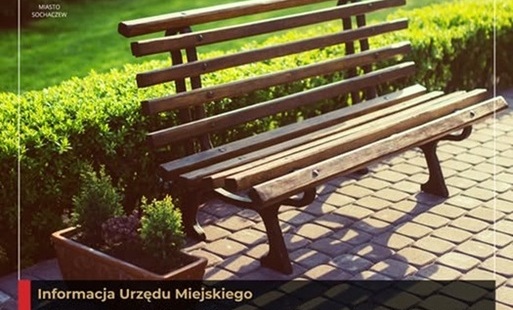 Zdjęcie przedstawia ławkę na tle zieleni